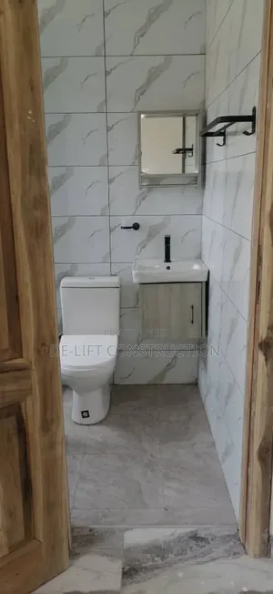 Are You Looking for a Professional Plumber