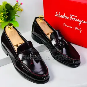 Salvatore Ferragamo Shoe /Coffee Black