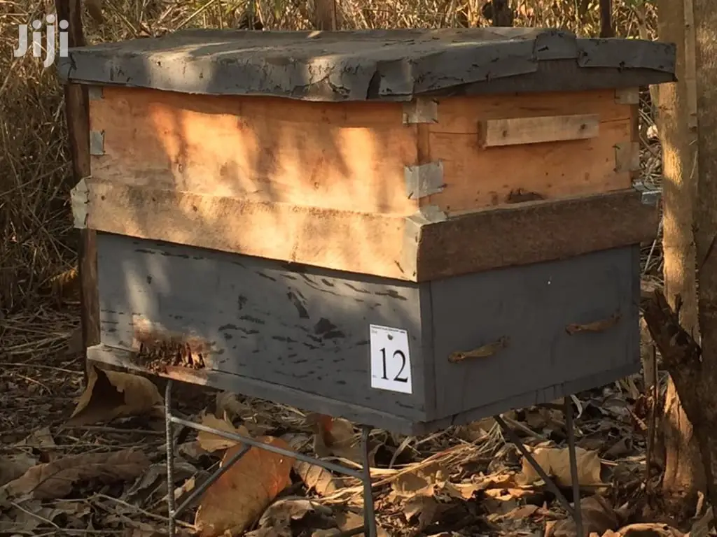 Quality and 100% Pure Honey and Bee Wax From the Bee Keepers