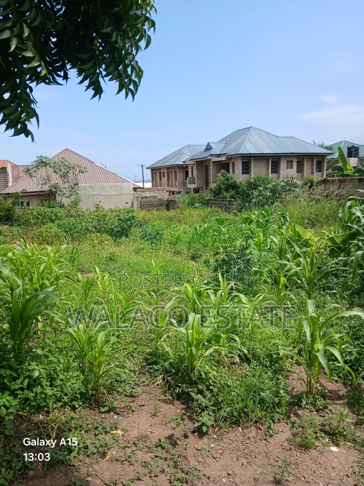 2plots of Land at Botiano for Sale