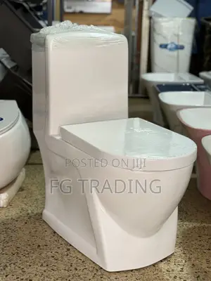 Combined Water Closet - Luxury Toilet