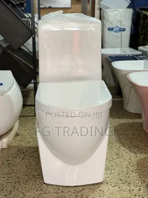 Combined Water Closet - Luxury Toilet
