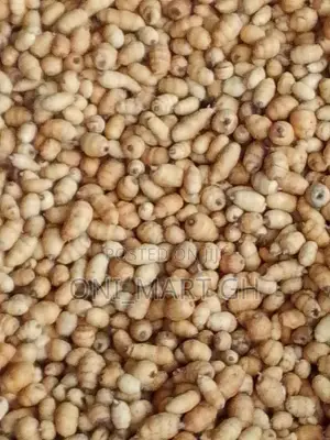 Washed Juicy Tigernuts/Atadwe