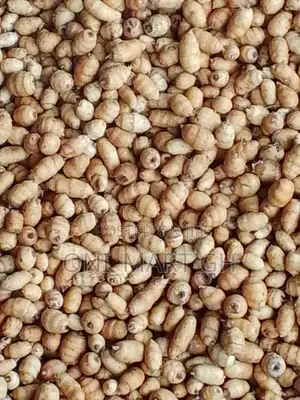 Washed Juicy Tigernuts/Atadwe