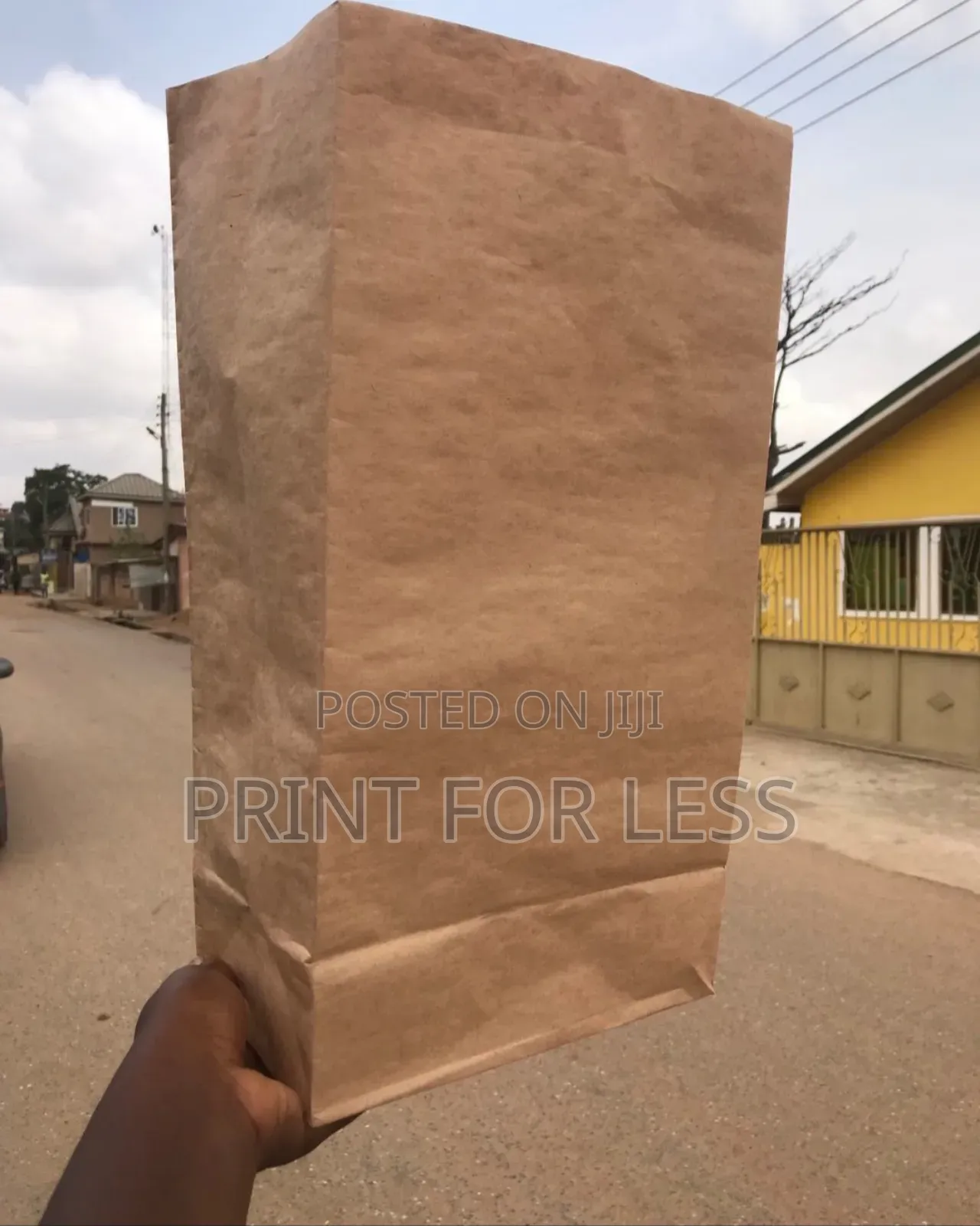 Plain Kraft Paper Bag