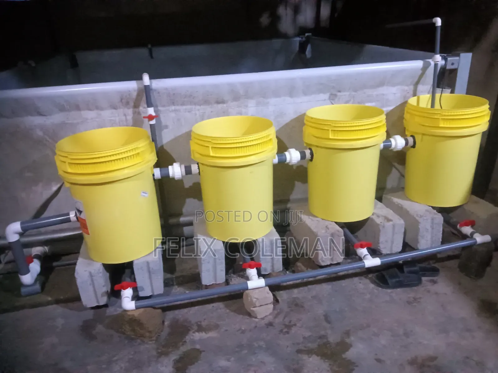 Tilapia Rearing System Setup