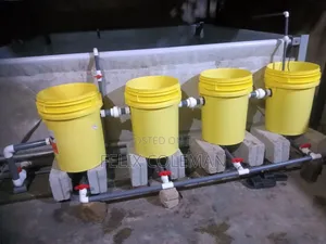 Tilapia Rearing System Setup