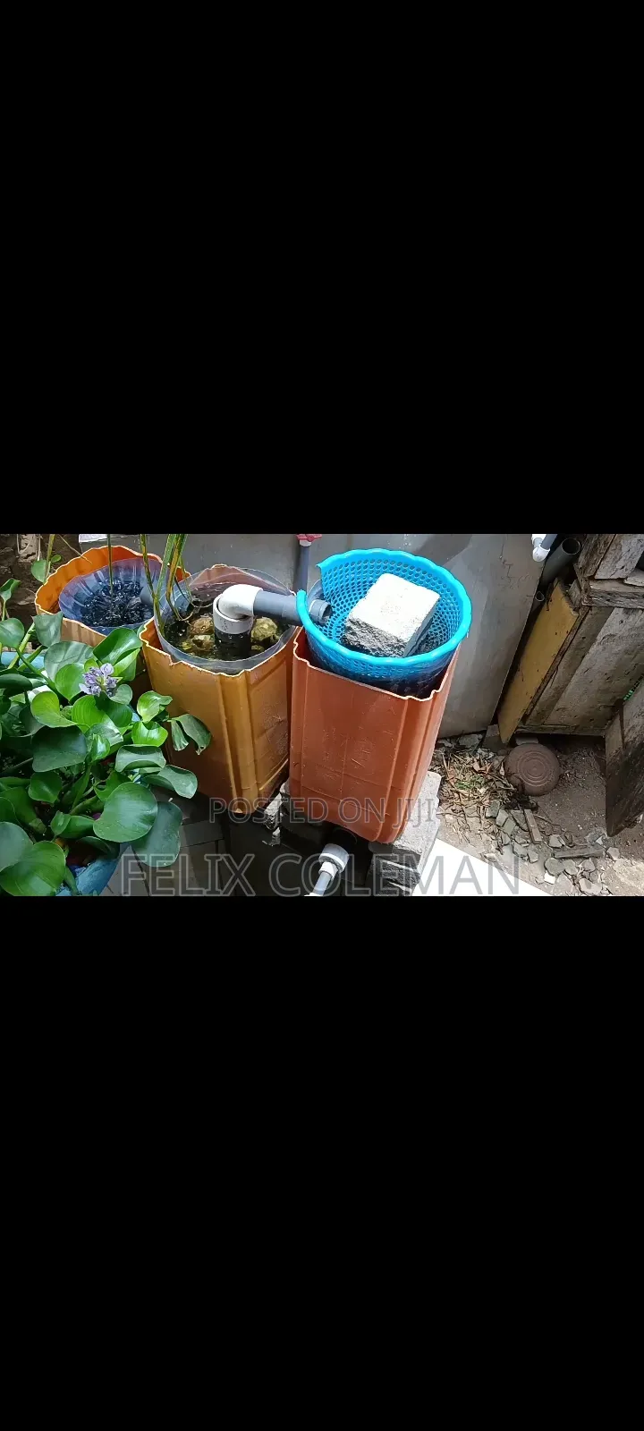 Tilapia Rearing System Setup