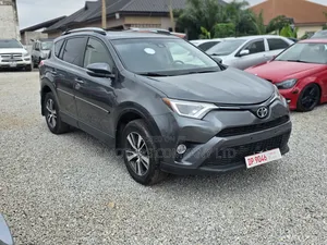 Toyota RAV4 XLE AWD 2019 Gray