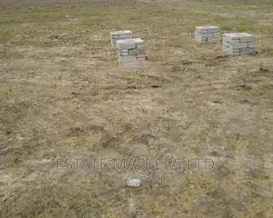Buy Land and Pay in Bits