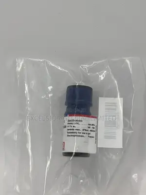 Ethidium Bromide 1g