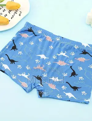 5in1 Boxer Underwear for Boys. 4-5y, 6-7y, 8-9y.