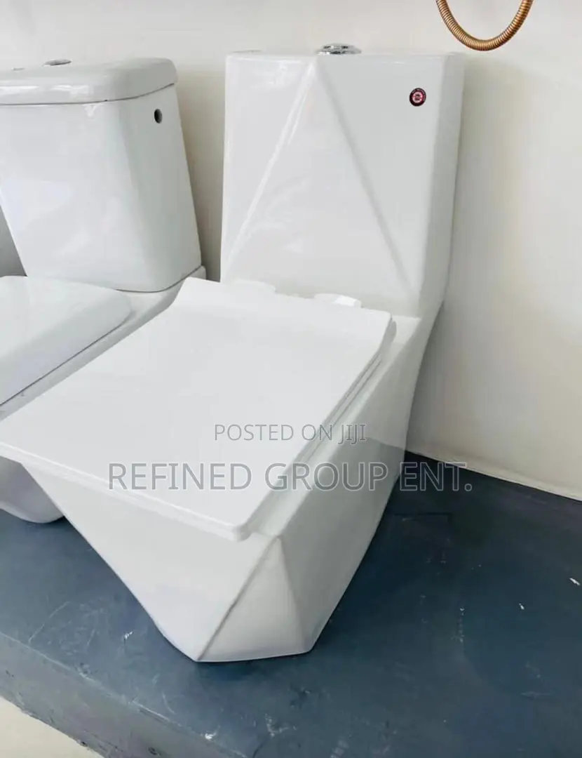 Wc and Basin