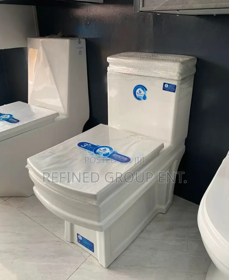 Wc and Basin
