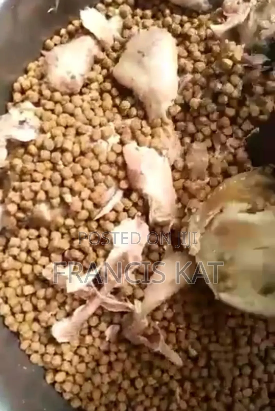 Dog Food Locally Produced