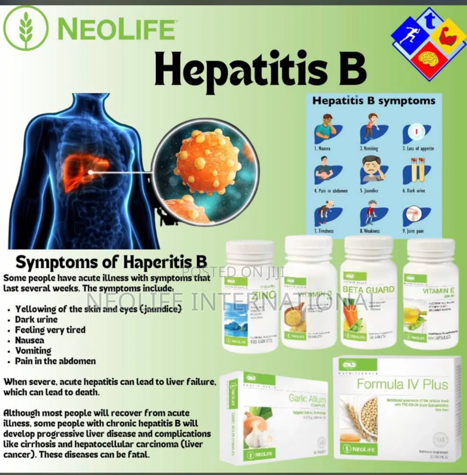 Hepatitis B Supplement