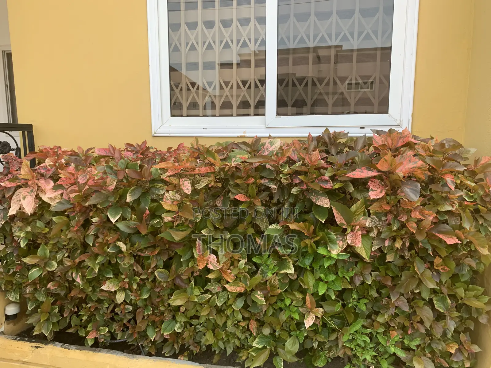 5bdrm Mansion in Joykeys, American House for sale