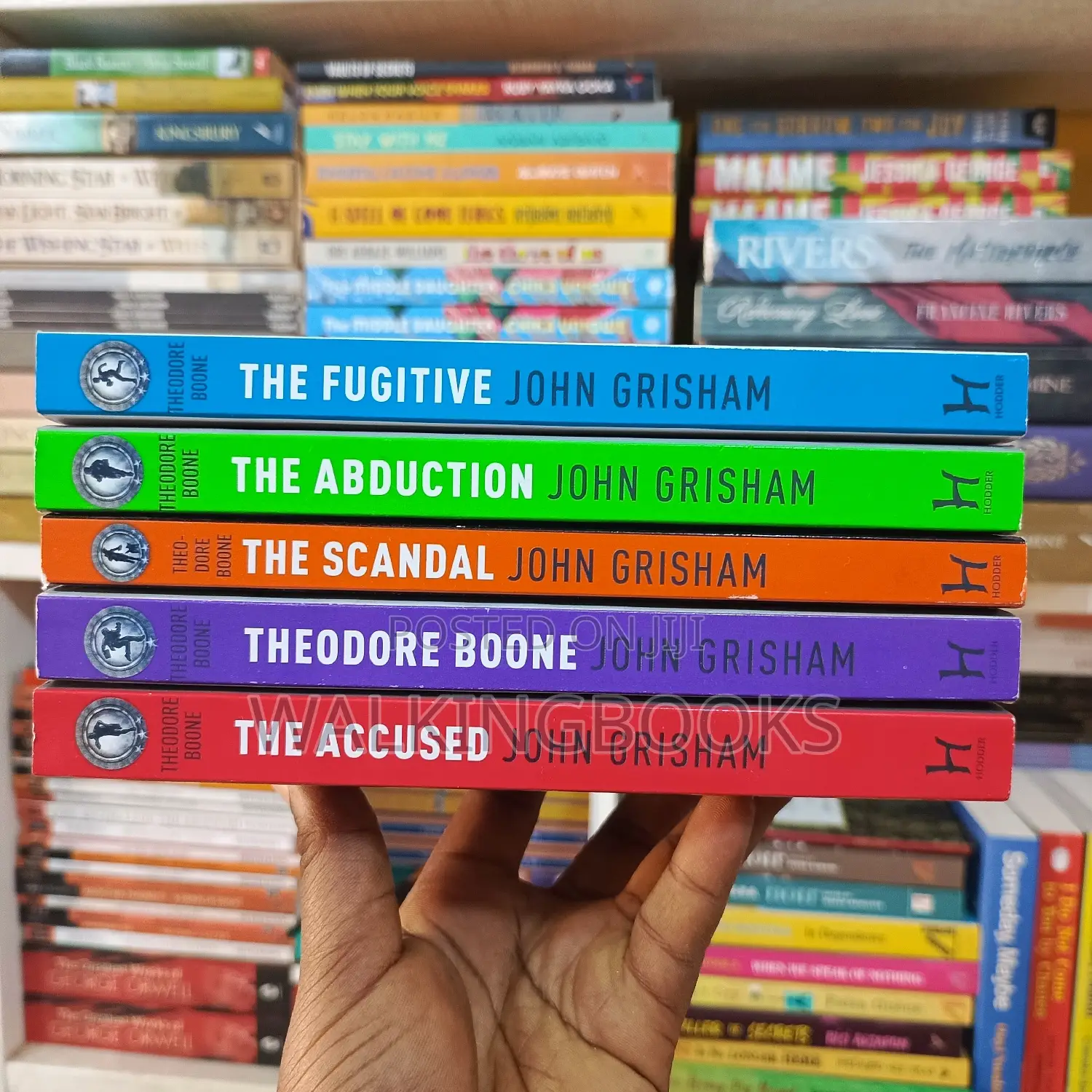 John Grisham, Theodore Boone