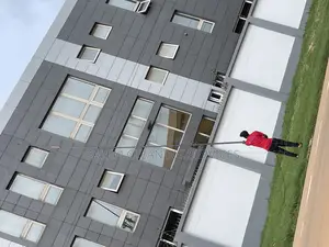 Tall Building Cleaning