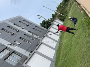 Tall Building Cleaning