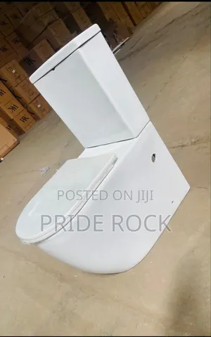 Egg Shaped Wc