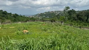 E/R - Aburi Mountain, (Gyankama) _ 3 Plots (0.52 Acre) Land