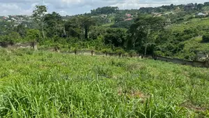 E/R - Aburi Mountain, (Gyankama) _ 3 Plots (0.52 Acre) Land