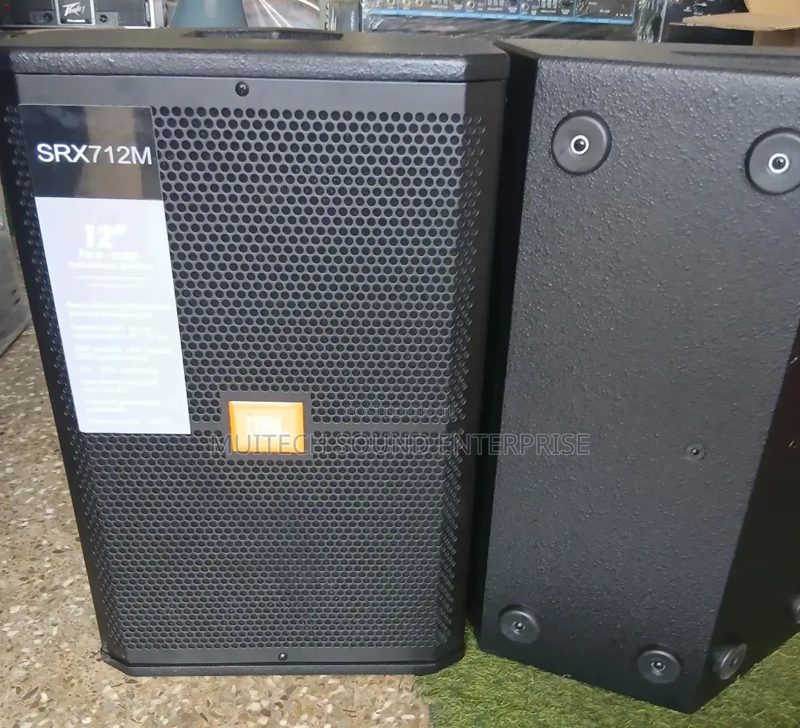 Passive Monitor 12 Inches