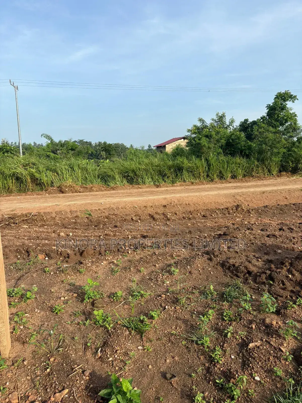 Registered Land for Sale at Nsawam.