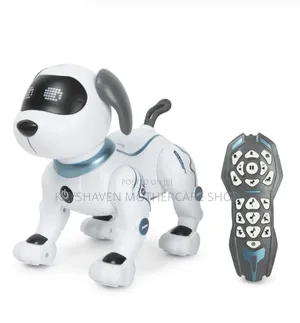Stunt Robot Dog With a Remote for Kids. Suitable for 3yrs