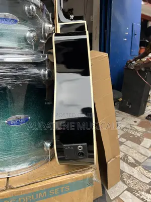 Semi Acoustic Guitar
