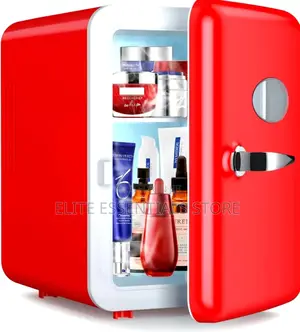 Portable Mini Fridge Cooler Warmer for Car Home Office