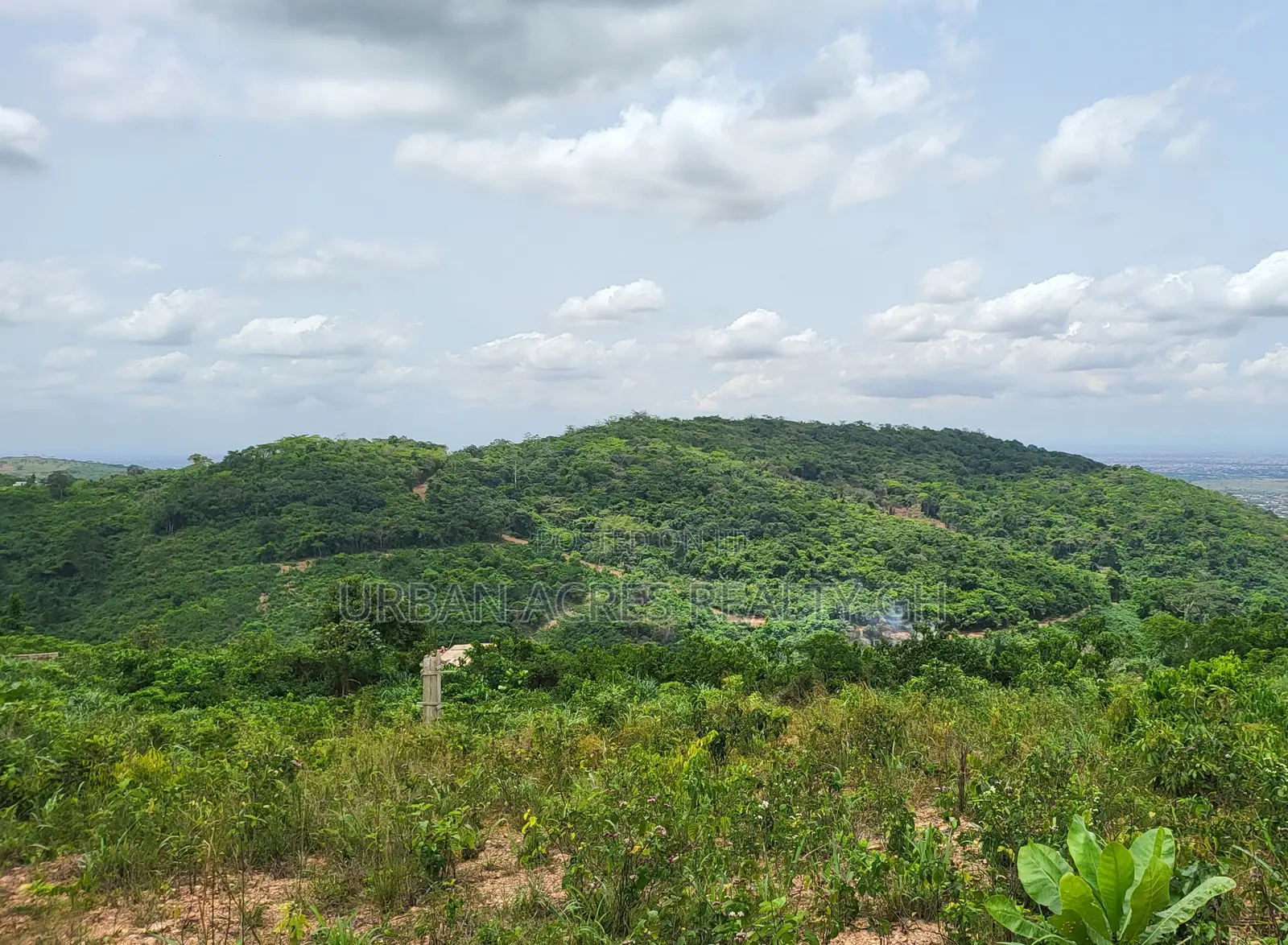 Eastern Region - Adukrom (Aseseeso) _ 150+ Acres Mountain Land