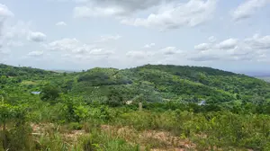 Eastern Region - Adukrom (Aseseeso) _ 150+ Acres Mountain Land