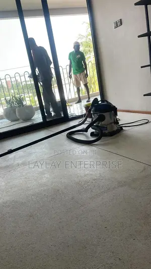 Professional Cleaning Services