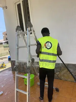 Professional Cleaning Services