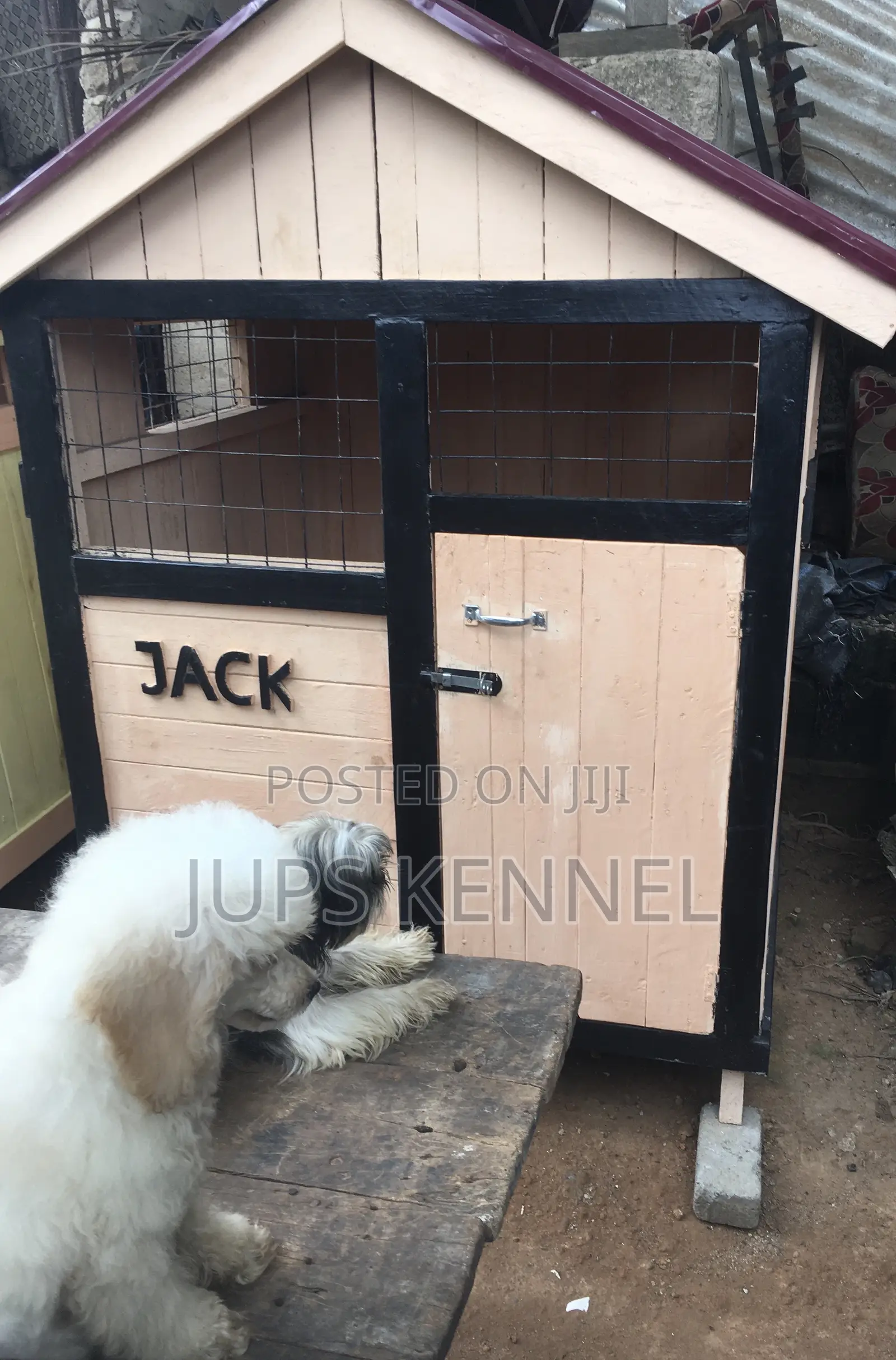 Kennel (Dog Cage)
