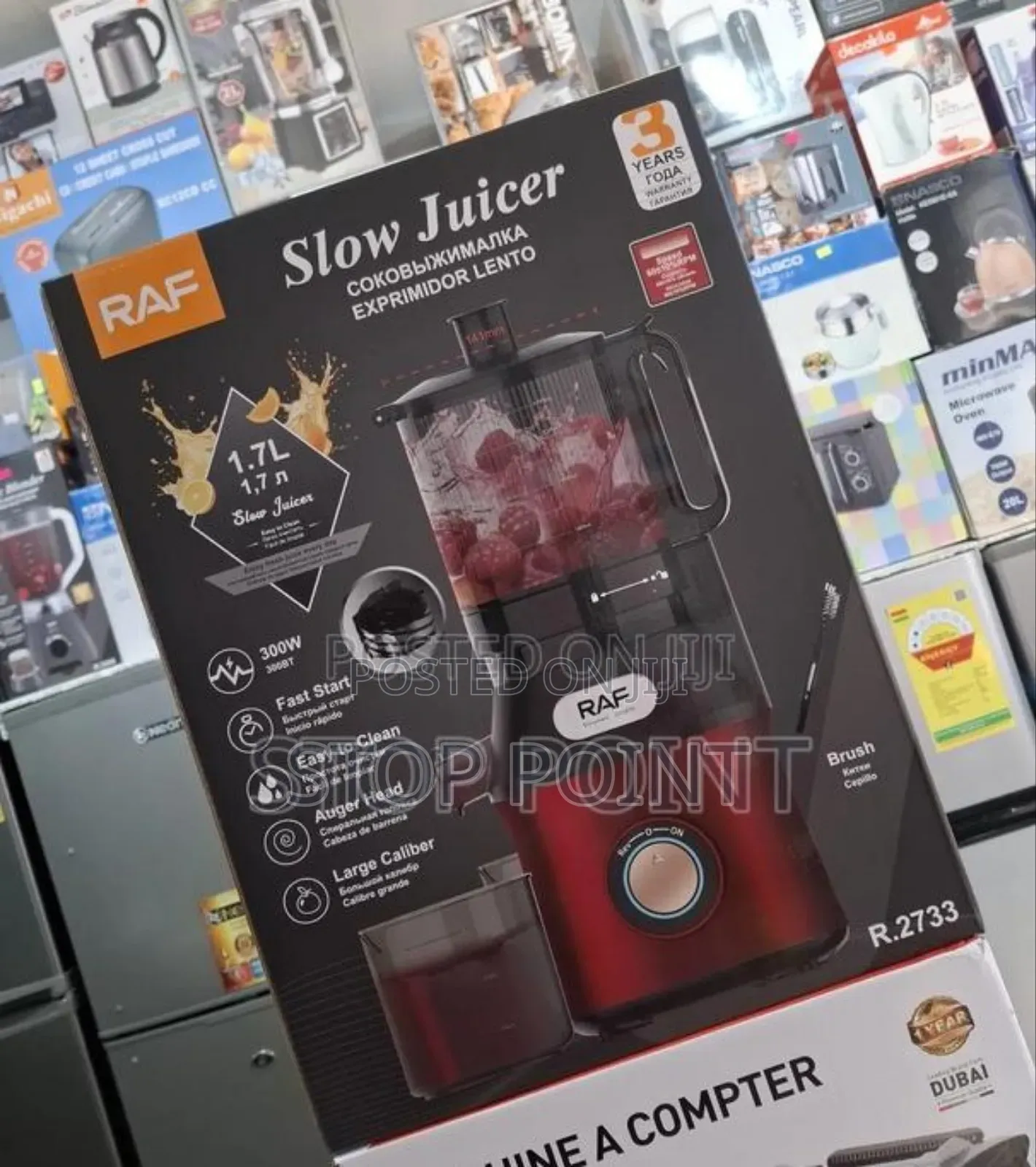 Large Capacity Slow Juicer