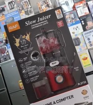 Large Capacity Slow Juicer