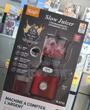 Large Capacity Slow Juicer