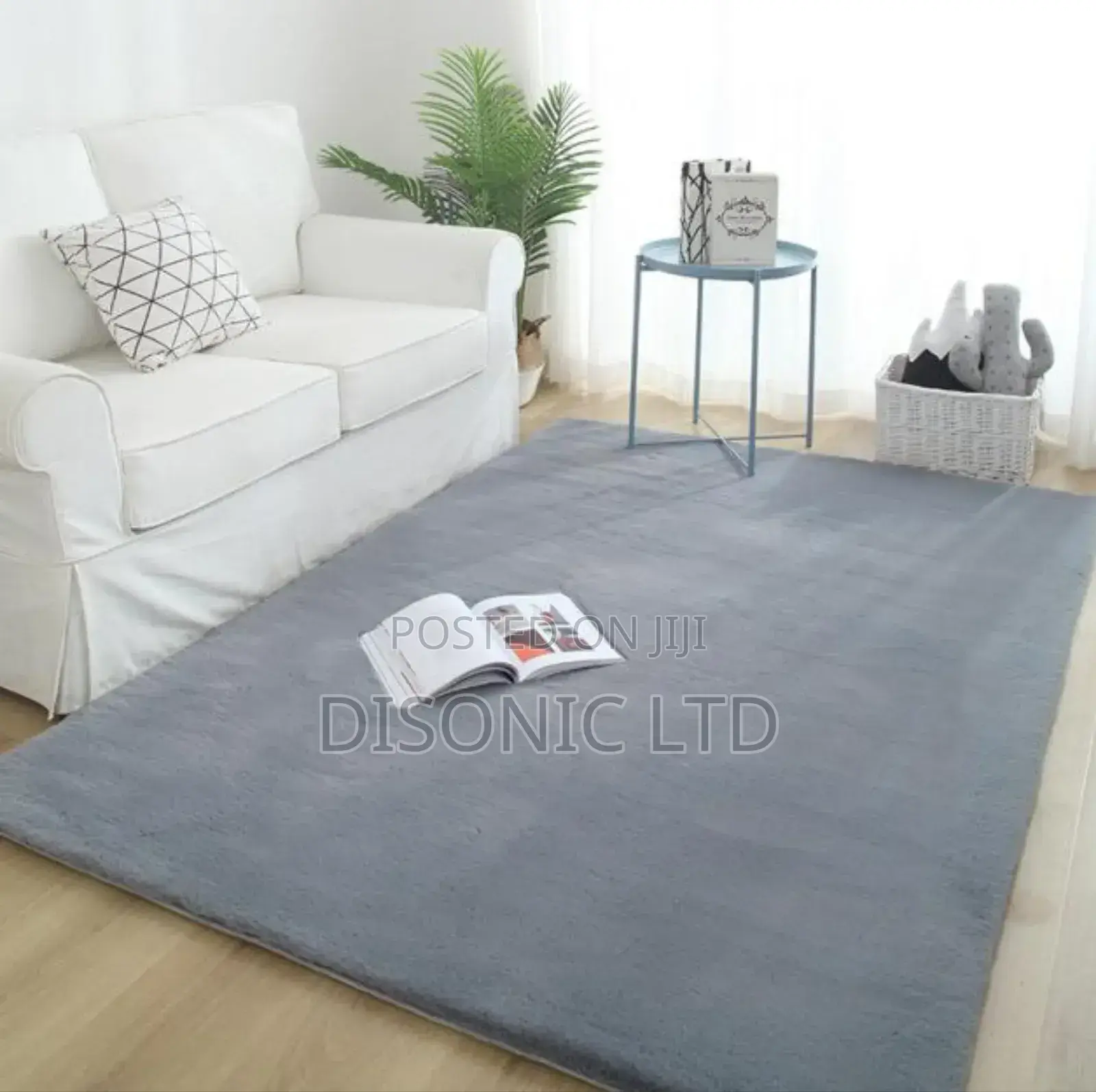 Fluffy Smooth Carpets