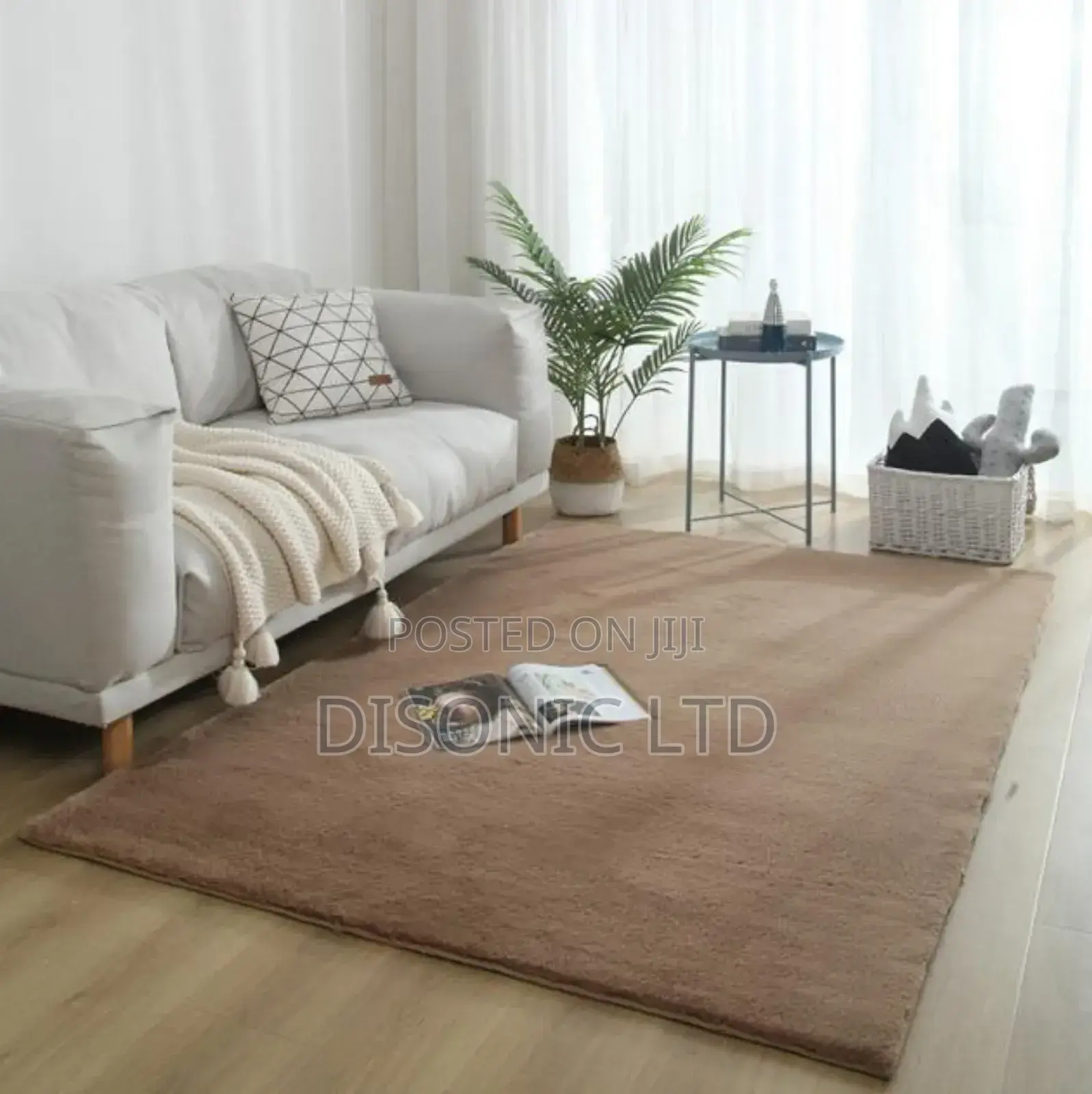 Fluffy Smooth Carpets