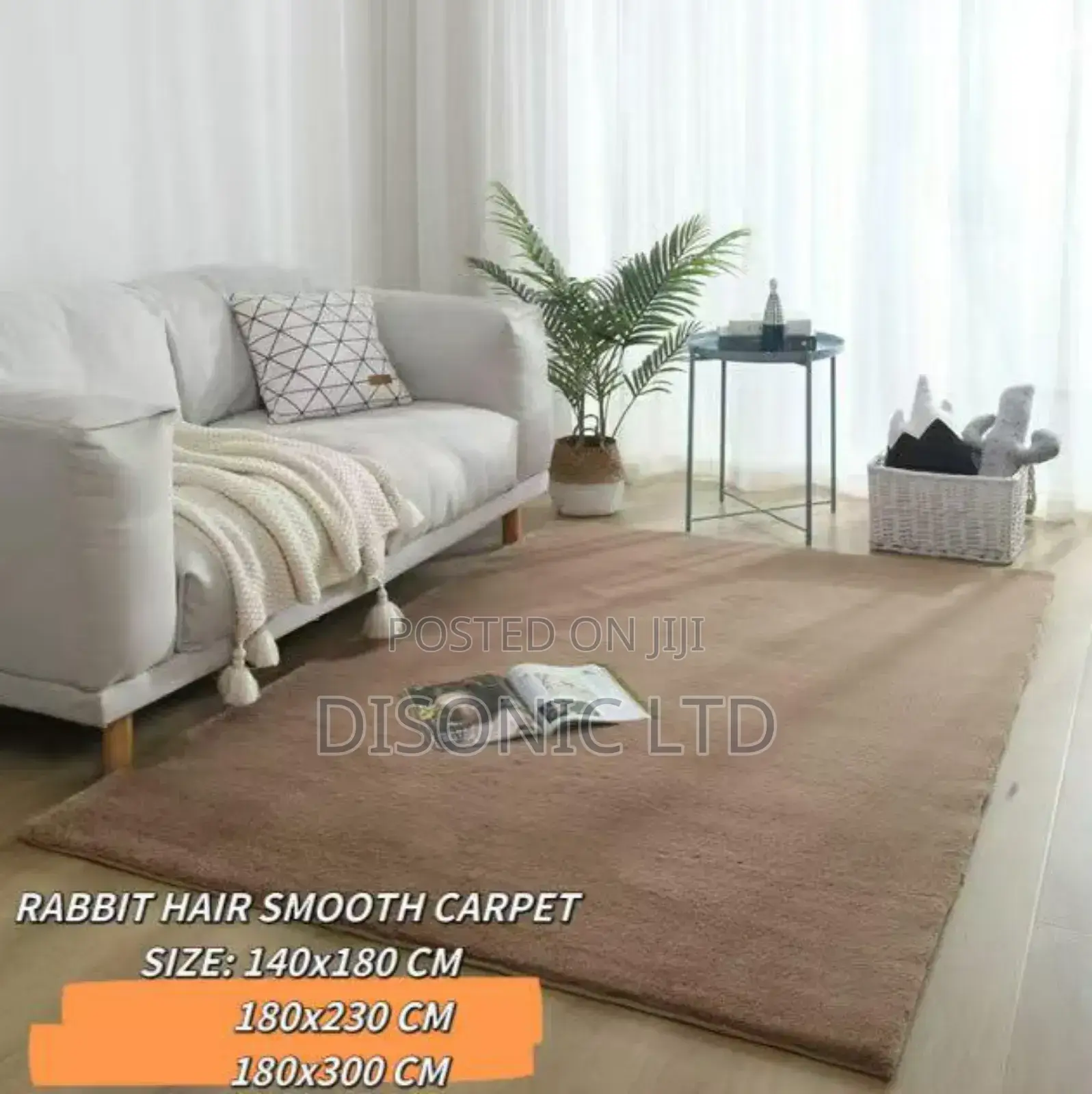 Fluffy Smooth Carpets