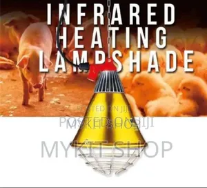 Infrared Heating Lamp