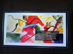 Lg Oled Display 55inch