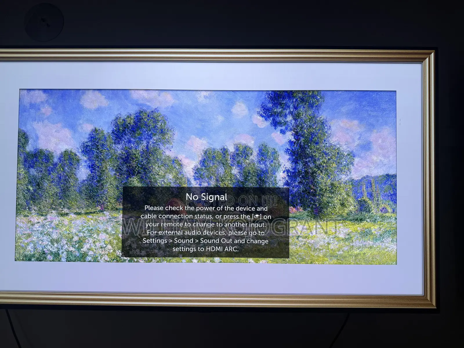 Lg Oled Display 55inch