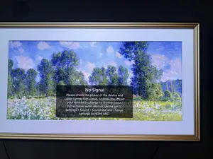 Lg Oled Display 55inch