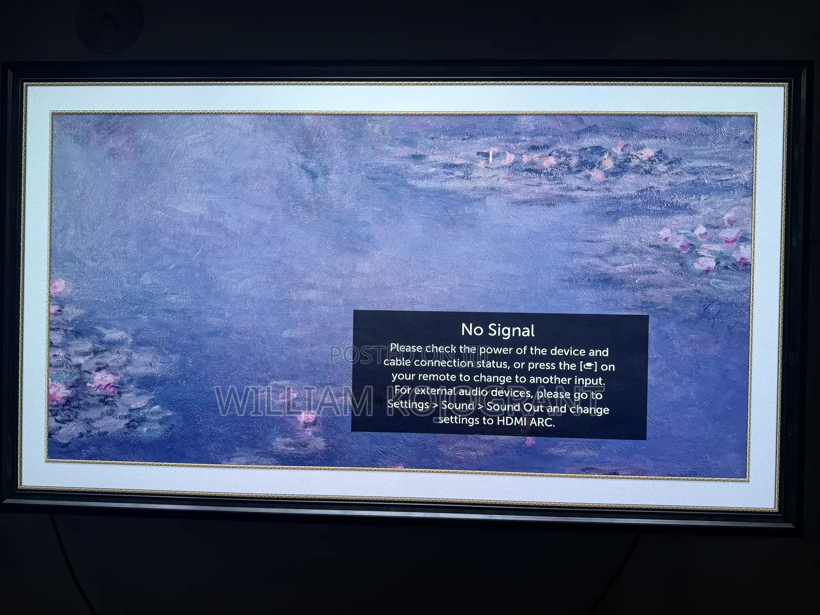 Lg Oled Display 55 Inch Display Screen