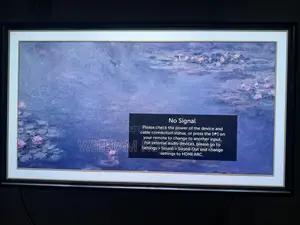 Lg Oled Display 55 Inch Display Screen