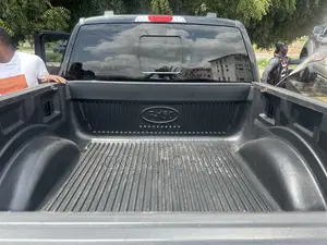 Ford F150 2017 To 2023 Bucket Liner